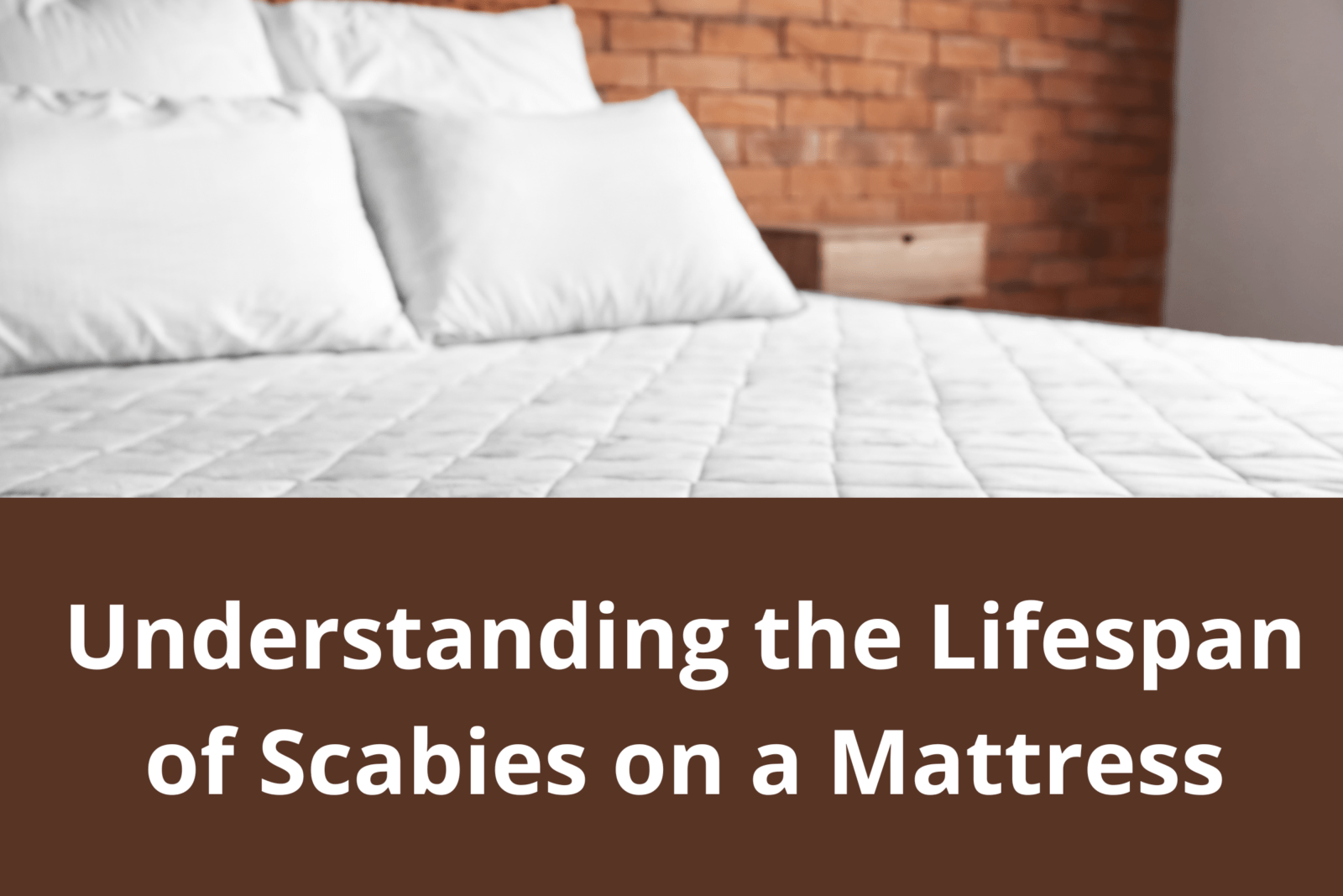 Understanding the Lifespan of Scabies on a Mattress