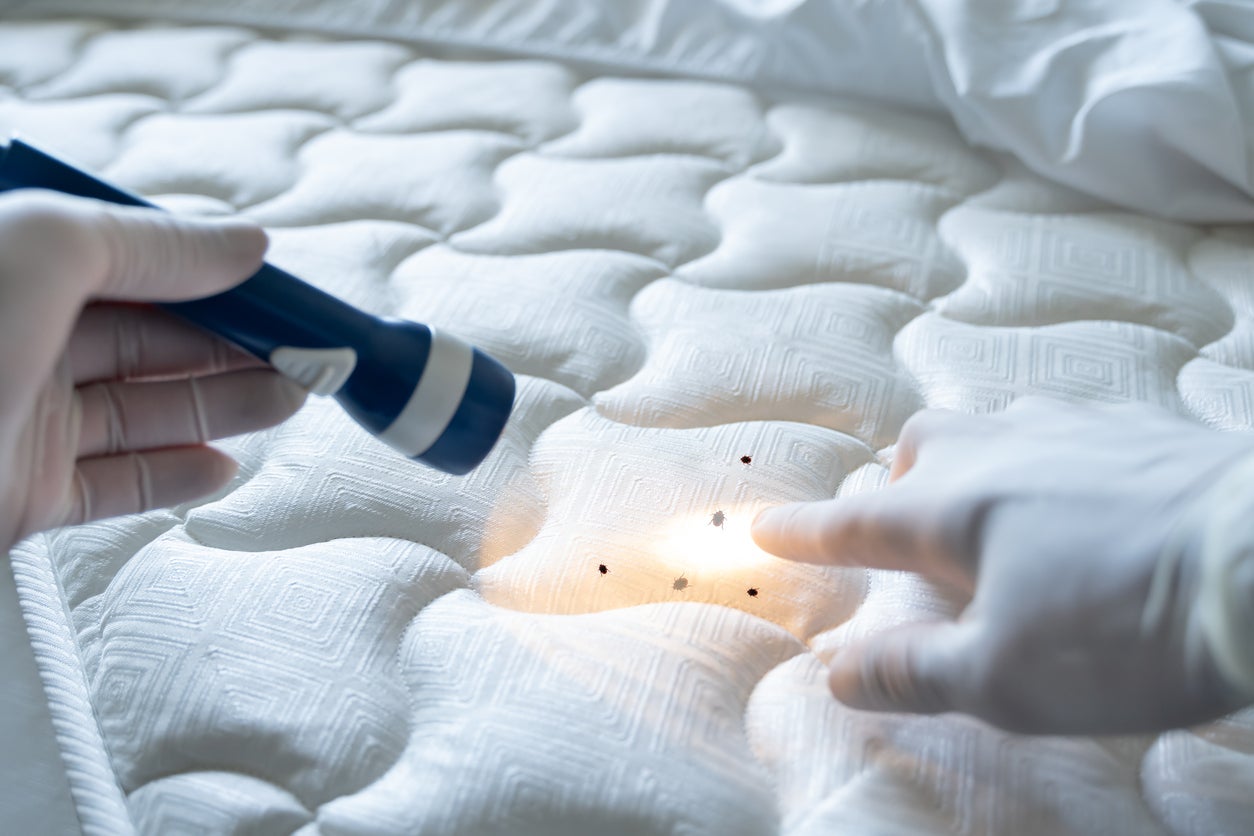 Can You Wash Bed Bug Mattress Covers? Essential Cleaning Tips